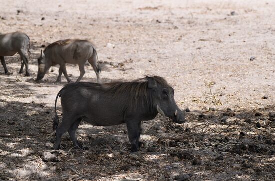 Davon gibt es hier auch reichlich