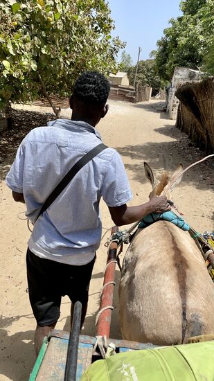 Wir haben noch ca 30 Minuten bis zum anderen Ende der Insel