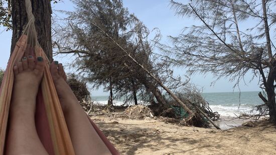 Ich lege mich den ganzen Tag in die Hängematte und lese