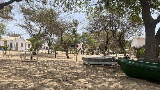Von den runden Hütten gibt es hier wohl 7 Stück—ich trinke ein paar Tassen Kaffee mit Sheriffo und er berichtet, dass die beste Gambia-Brauerei schließen musste, weil der neue Präsident die Steuern so angehoben hat. Nun wird das gute Bier im Senegal gebraut und Gambia hat hunderte Arbeitslose mehr