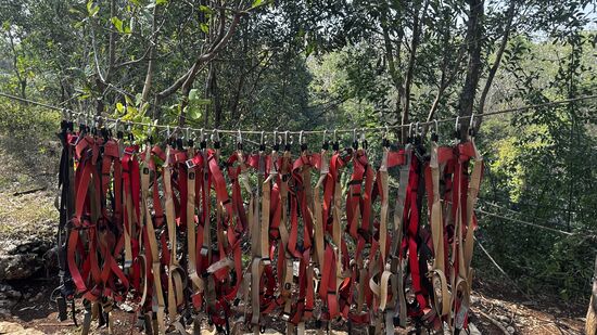 Dann bekommt jeder einen Abseilgurt verpasst—wieder schön der Reihe nach-dafür werden die Nummern , die wir bekommen haben, aufgerufen.