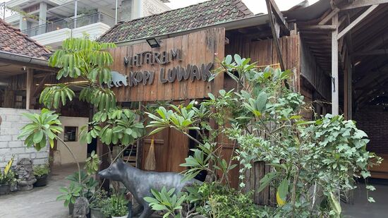 Zum Ende der kleinen Stadtrundfahrt bringt uns unser Fahrer zu einem Geschäft, in der die Produktion des berühmten „Katzenkaffee“ erläutert wird und man auch den Kaffee verproben und auch kaufen kann.