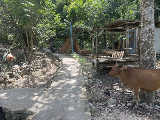 So idyllisch—ich denke, wir sind im Moment die einzigen Weißen auf der Insel