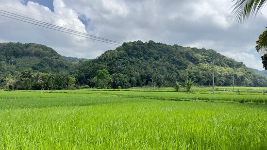 Wir brauchen ganz schön lange—irgendwie funktioniert Google-Map nicht und auf Map.me ist die Insel Bawean Neuland, sprich kein einziger Punkt drauf.