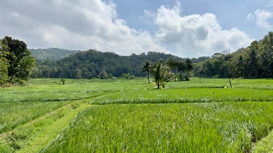 Aber es ist herrlich durch die Dörfer zu fahren und überall mit winken und freundlichem Rufen begleitet zu werden