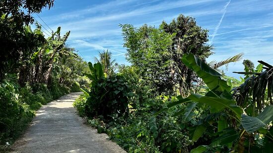 Zurück geht es über die engen und mit Schlaglöchern übersäten Wege. Anstrengend wird es, wenn Gegenverkehr kommt, denn die Wege sind super schmal.