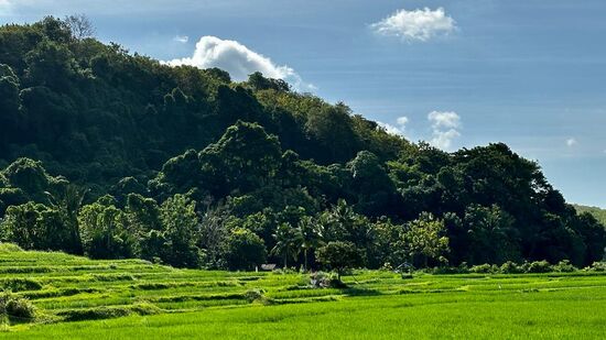 Trost sind die herrlichen Landschaften - man kann sich nicht sattsehen