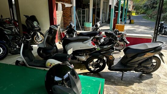 Wir beschließen nur noch zu den „Bawean-Hirschen“ zu fahren , mehr schaffen wir nicht…