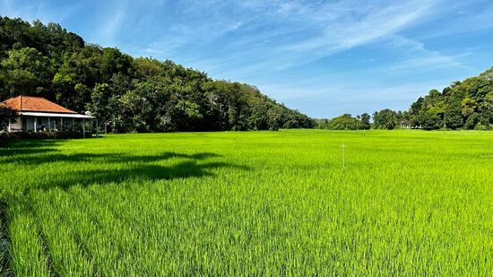 Leider verfahren wir uns aber erstmal…