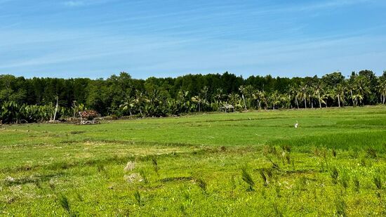 Der Rückweg dauert noch lange genug—wir fühlen uns doch einfach zu unsicher mit dem Motorbike, sodass wir beschließen für die anderen Ziele ein Auto mit Fahrer zu nehmen