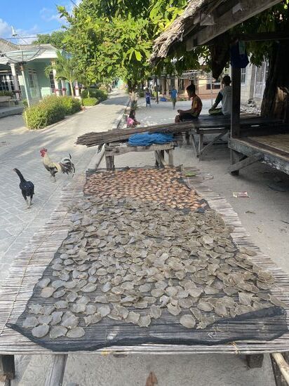 Natürlich riecht es auch überall entsprechend…