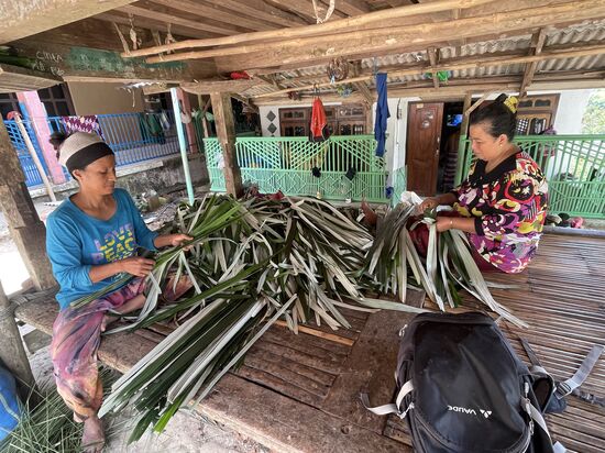 Mr Haris ist mächtig am schnaufen, aber die Zigarette geht niemals aus dem Mundwinkel—wir sollen hier mal schauen, was die Damen machen. In Wirklichkeit denke ich, braucht er einfach eine Pause…
Die Damen ziehen hier das harte  Mittelstück aus den Blättern