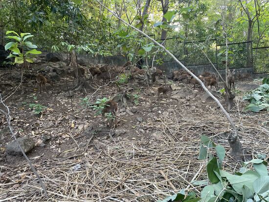 Nach dem „Badespaß“ fahren wir Richtung Küste….hier ist noch eine Stelle mit den Hirschen…