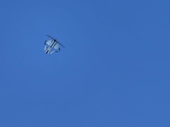 Das ist er, die Dinger gibt es hier sehr viele—man hört sie immer schnarren und nachts leuchten sie hoch oben am Himmel wie Ufos…gibt es die bei uns auch??
Habe die noch nie gesehen…