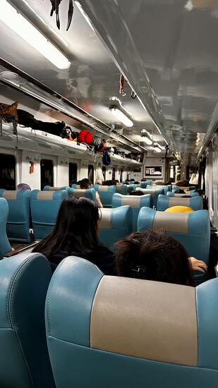 Es sind einige Europäer im Zug, eine Gruppe junge Italiener und eine deutsche Familie—man merkt, dass man sich einem Hotspot nähert— Probolinggo ist der ideale Ausgangspunkt für Touren zum Vulkan Bromo