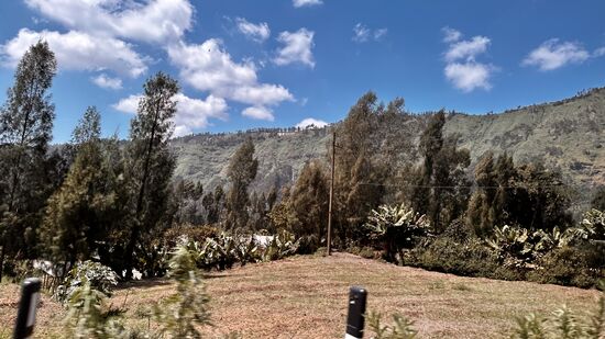 Unterwegs die ersten Eindrücke während wir immer weiter hinauf fahren