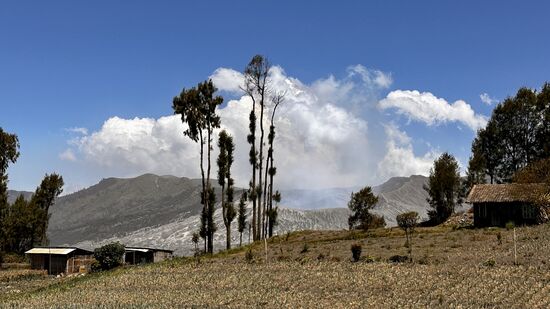 Wir entlohnen unseren Fahrer, der uns am Ende hier auch wieder abholen soll und steigen mal auf die Dachterrasse unseres Homestay—hier ist schon mal eine tolle Sicht