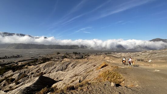 Deshalb beschließt Thomas den Weg per Pferd zu nehmen