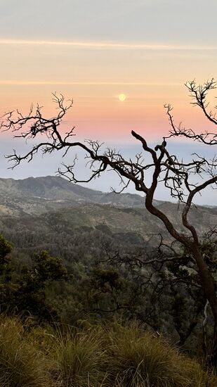 Wir gehen zurück, um 6 Uhr sollen wir am Jeep sein.