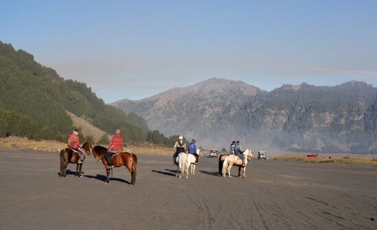 Hier warten Guides mit Pferden und bieten einen Ritt für die ca. 1,5 km zum Fuße des Bromo. Da wir bereits gestern am Vulkan waren und keinen weiteren Aufstieg planen, suchen wir uns einen Stand und trinken Kaffee und Wasser.
