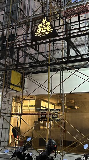 Auf der Suche nach einem Massagesalon finden wir dieses Etablissement…ich darf hier nicht rein…