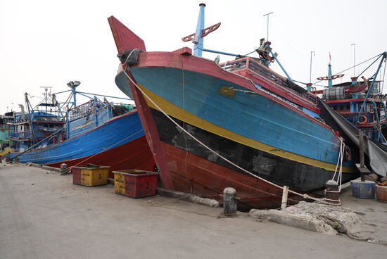 Hier liegen viele Boote, die voll beladen mit frisch gefangenen Fischen sind…