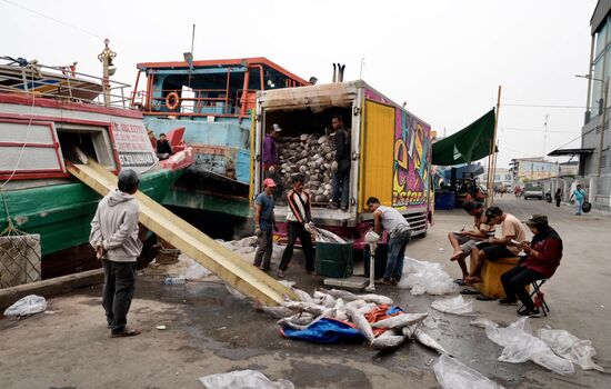 Hier werden die tiefgefrorenen Fische direkt in den LKw verladen