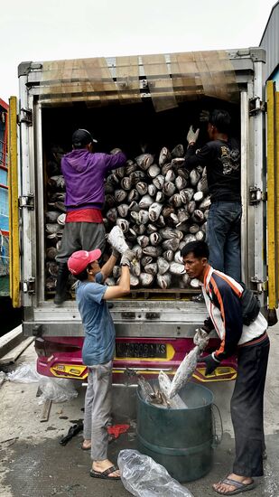 Das sind ALLES tiefgefrorene Fische!!! Der Fang hat sich gelohnt.