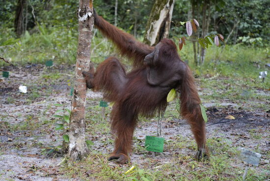 Schon auf dem Weg zur eigentlichen Futterstelle begegnen wir einigen Kollegen 