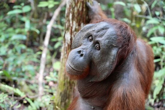 Trotzdem verhalten wir uns respektvoll
