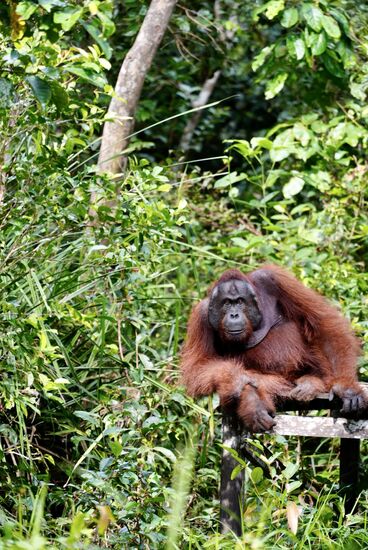 Hallo, Ihr seid aber spät dran. 