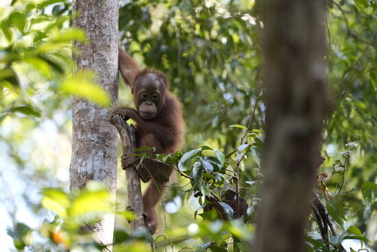 Die Kleinen sind besonders süß