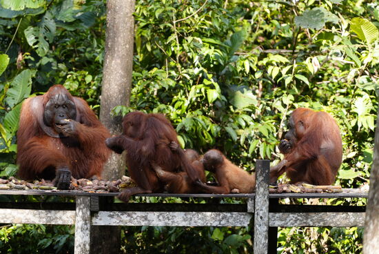 Und hier wird immer noch gefuttert.