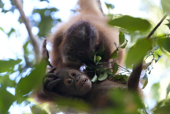 Die beiden tollen miteinander und liebkosen sich…
