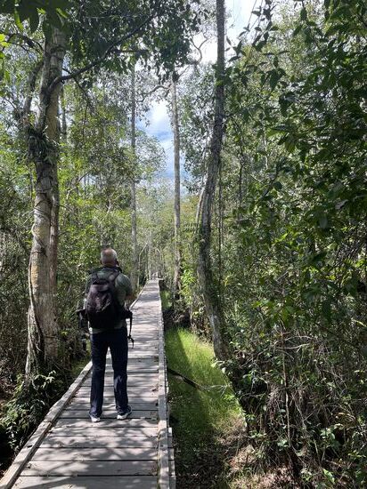 Leider sind viele zu weit weg…