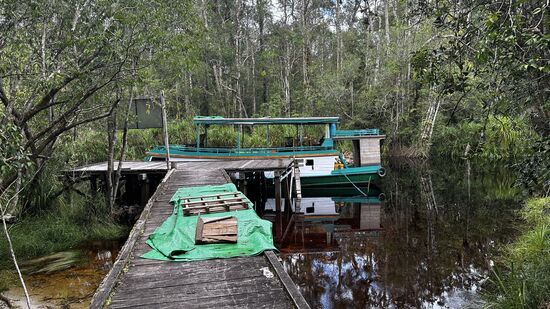 Hier holt Abu sein Handy raus und spielt aufgenommenes Vogelgezwitscher ab um die Vögel anzulocken—Das klappt tatsächlich!! Es antworten einige und dann sehen wir sie auch: wunderschöne mit roter Brust—leider sehr scheu und weit weg