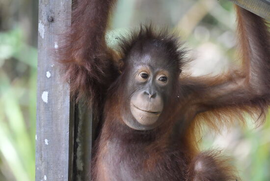 Diese Frisur ist doch göttlich—oder??