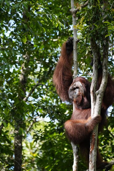 Er lauert auf das Futter, Woher sie wohl die Uhrzeiten kennen?