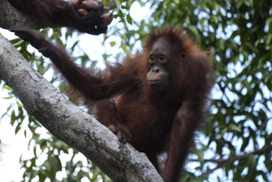 Was er wohl gerade denkt?
