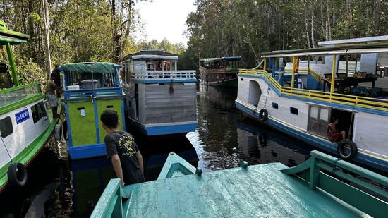 Sehr, sehr viele Boote—und jedes sieht anders aus!