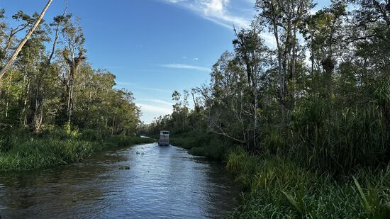 Weiter gehts. Wir sitzen gern vorn in der Sonne und schauen—wir haben riesiges Glück mit dem Wetter—keinen Regen!!