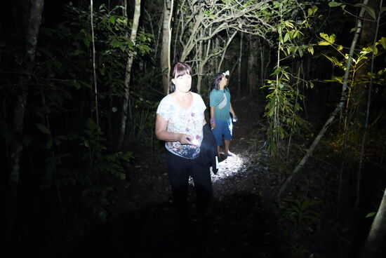 Auch Abu mit seinen Adleraugen gibt sich redlich Mühe