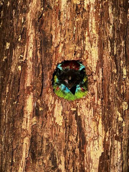 Das sieht SO kurios aus, dass ich Abu des Fakes bezichtige—aber er lacht nur und freut sich selber über die tollen Fotos