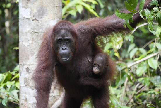 Und dann sind wir wieder bei der Fütterung…