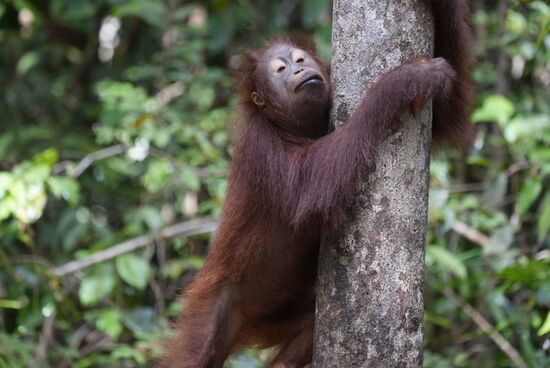 Ich bin noch sooooooo müde