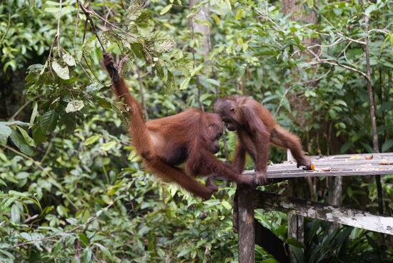 Die beiden spielen so süß miteinander…