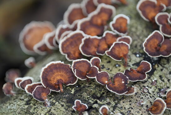 Einfach nur ein schönes Foto…