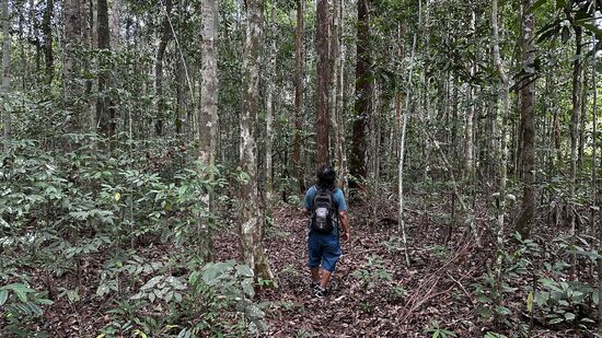 Abu hält Ausschau nach Vögeln….