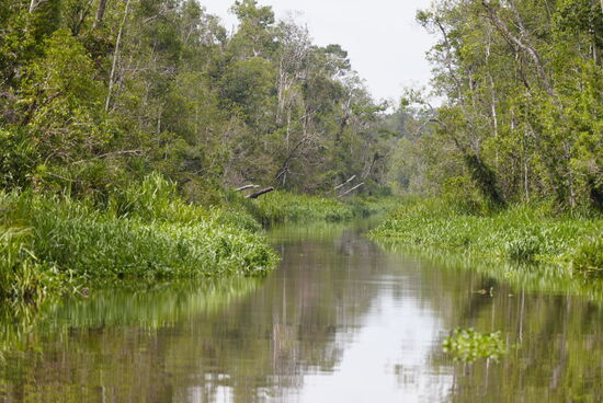 Wieder fahren wir…