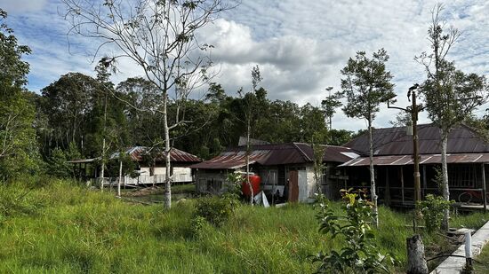 Das Dorf hat 200 Einwohner. Die meisten arbeiten in der einige Kilometer entfernten Palmöl-Fabrik. Leider wurde auch hier der Regenwald zum Teil gerodet und mit Palmen angepflanzt. Wir haben aber auch einige Aufforstungen gesehen und im Umfeld der Orang-Utan achten die Ranger darauf, dass es keine weiteren Rodungen gibt.